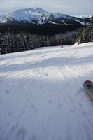 IMG_2590