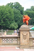 IMG_3937