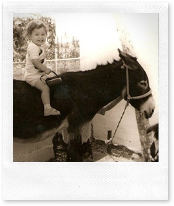 savas on a donkey