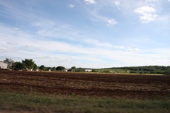 IMG_8081