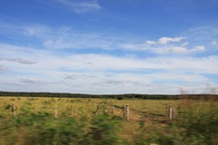 IMG_8082