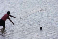 IMG_8195