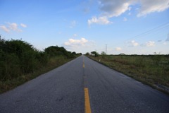 IMG_8200