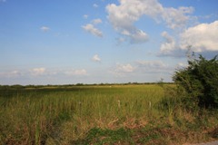 IMG_8205