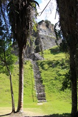 IMG_8445