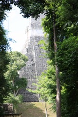 IMG_8515