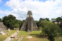 IMG_8556