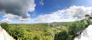 Tikal 3