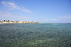 IMG_8704