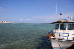 IMG_8706