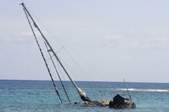 IMG_8712