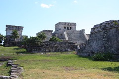 IMG_8738