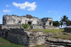 IMG_8741