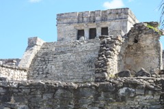 IMG_8746