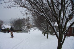 IMG_9139