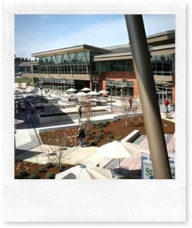 the commons