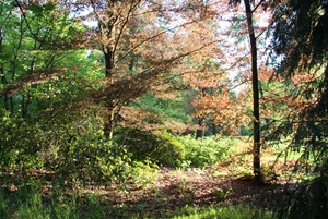 IMG_9719
