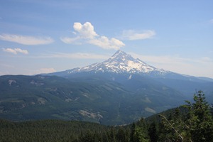 IMG_1252