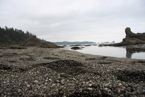 IMG_1410