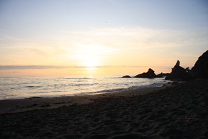 IMG_1452
