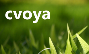 cvoya small